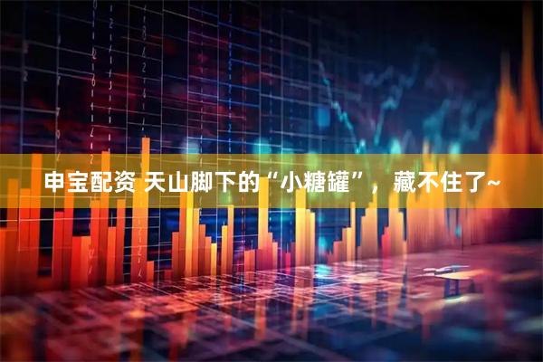 申宝配资 天山脚下的“小糖罐”，藏不住了~